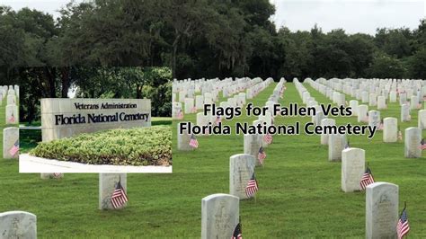 Flags for Fallen Vets - Florida National Cemetery - YouTube