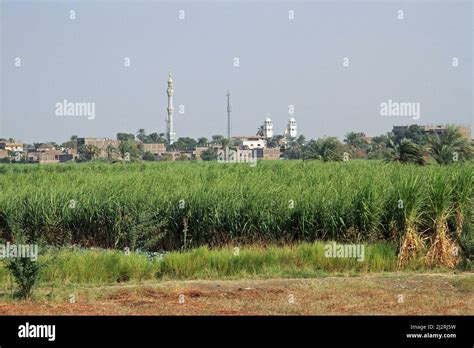 River Nile Cruise scenes Stock Photo - Alamy