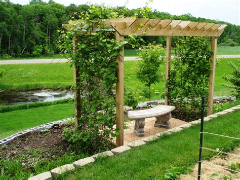 Rustic Grape Arbor Plans - Image to u