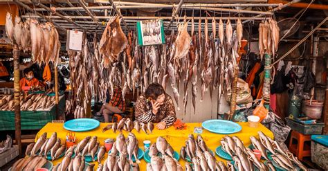 Jagalchi Fish Market, Busan - a delight for the senses - Daily Travel Pill