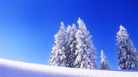 🔥 Download Winter Snow Desktop Wallpaper HD Dongxue Series by @thomasschaefer | Snow Desktop ...