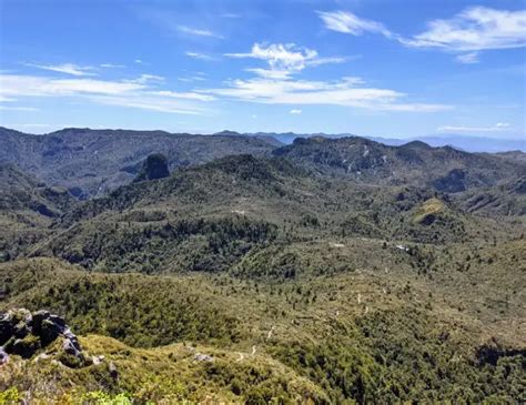 Best Hikes on New Zealand's North Island