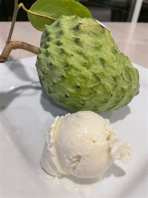 Soursop Ice Cream – Ant's Ice Cream