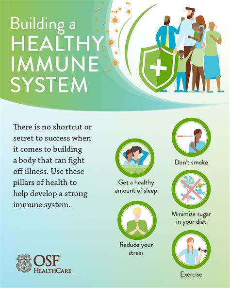 Get to know the immune system | OSF HealthCare