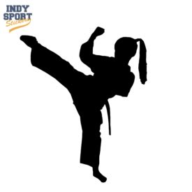 Martial Arts Karate Female Girl Kicking Silhouette - Car Stickers and Decals