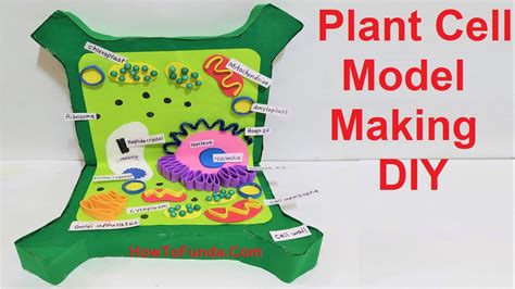Plant Cell 3d Model Plant Cell Project Cells Project Plant Cell - Vrogue