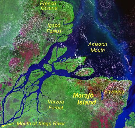 NephiCode: Why the Amazon River Has No Delta – Part II