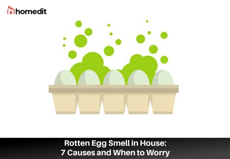 A Rotten Egg Smell in the House Can Be Dangerous: What to Do