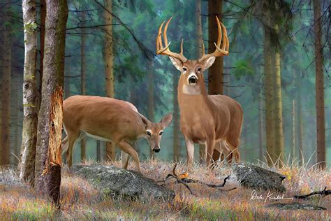 Whitetail Deer Art Print - Forest Deer Painting by Dale Kunkel Art | Pixels