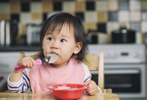 A Guide To Baby Food Stages and Beyond | Is This Normal by Little Spoon