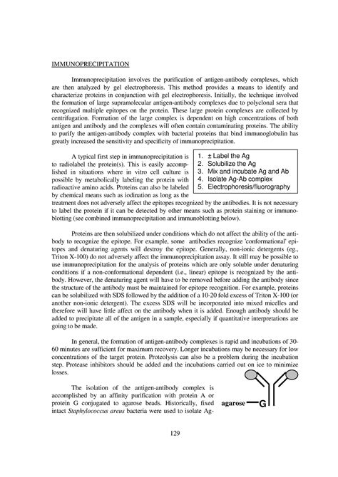 Methods in cell biology (24) - 129 IMMUNOPRECIPITATION Immunoprecipitation involves the ...