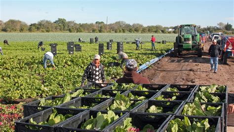 Valley Organic Produce Feeds Texans - VBR