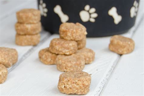 No Bake Puppy Treats | Blue Jean Chef - Meredith Laurence