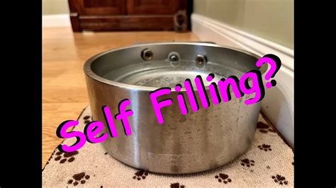 Self filling dog water bowl - YouTube