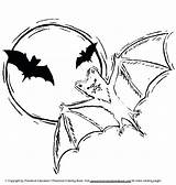 Realistic Bat Coloring Pages At GetColoringscom  Free Printable sketch template