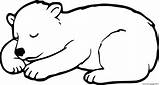 Top 10 Free Printable brown bear coloring Pages Online – Artofit sketch template