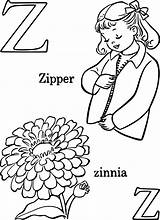 Zinnia Coloring Pages  Best For Kids sketch template