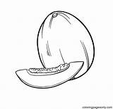 30  Melons Coloring Pages Free Printable PDF JPG PNG & Online sketch template
