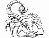 Scorpion Coloring Page  Free Printable Coloring Pages For Kids sketch template