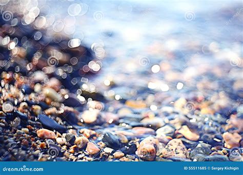 Pebble on beach stock image. Image of beach, outdoor - 55511685