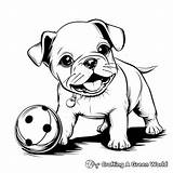Boxer Puppy Coloring Pages  Free & Printable sketch template