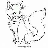 Cat Coloring Pages Free Printable PDF sketch template