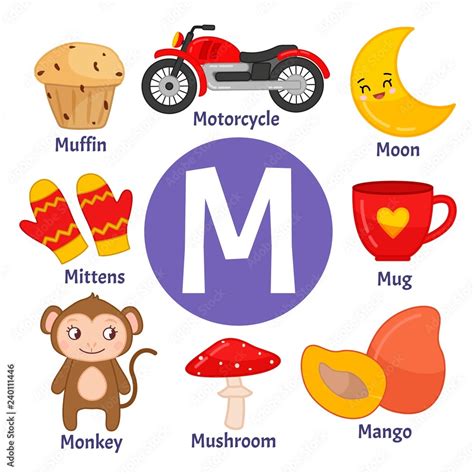 мVector cute kids animal alphabet. Letter M. Set of cute cartoon illustrations. Stock Vector ...