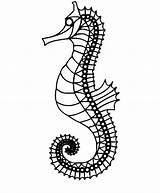Seahorse coloring Pages  ColoringLib sketch template