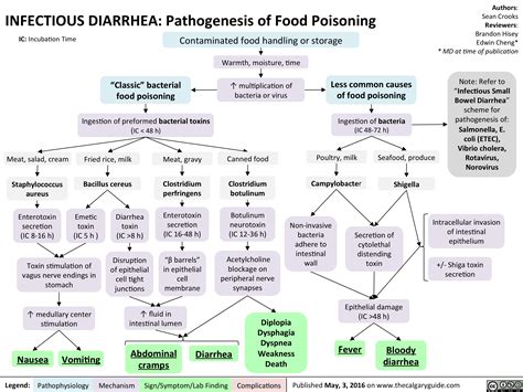 Infectious Diarrhea: Pathogenesis of Food Poisoning | Calgary Guide