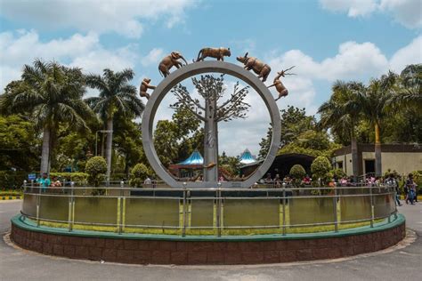 Zoo Park Hyderabad: Timings, Ticket Price & How to Visit | Veena World