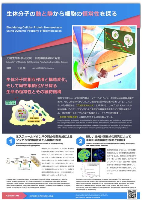 Laboratory of Cellular and Molecular Sciences – Biological Sciences (Macromolecular Functions ...