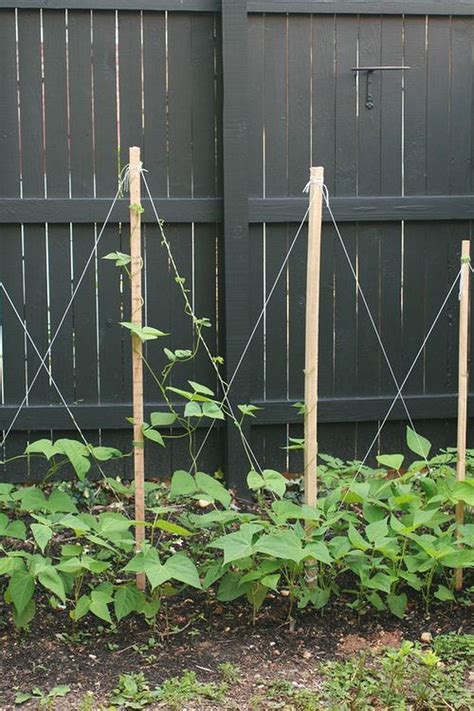 Cool Green Been Garden https://gardenmagz.com/green-been-garden/ | Building a trellis, Bean ...