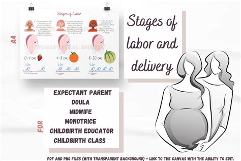 Stages of labor and delivery. Birth education handout for childbirth educators, midwives and ...