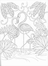 Paradise Coloring Pages  Coloring Home sketch template