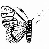 Butterfly Moth Coloring Page · Creative Fabrica sketch template