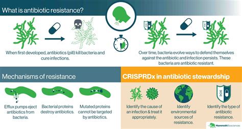 Antibiotic resistance - how it works and how we can fight it with ...