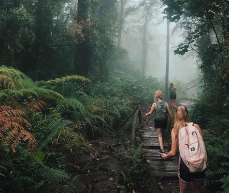 Hike Deep Into Miraflor’s Dreamy Cloud Forest In Nicaragua