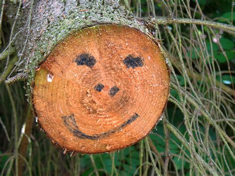 Smiling Face Free Stock Photo - Public Domain Pictures