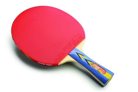 DHS A3002 Table Tennis Racket Review