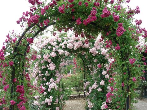 Jardin Ideen | les ouvriers du jardin: Jardin Parisien L Hay Les Roses