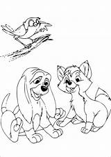 Kostenlose Und Gratis Malvorlage Für Kinder Mit Rox Rouky Zum  sketch template