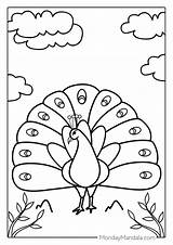 34 Peacock Coloring Pages Free PDF Printables sketch template