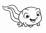 Printable Tadpole Coloring Page  Free Pages sketch template