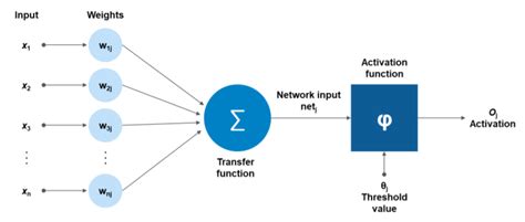 Explain like I’m five: Artificial neurons | by Maurice Henry Buettgenbach | Towards Data Science