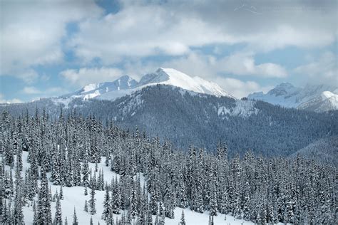 Manning Park Winter Photography - Alan Majchrowicz Photography Photography