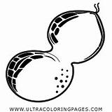 Nut Coloring Pages  Ultra sketch template