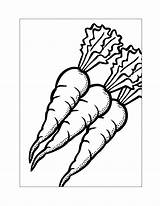 Carrot Coloring Pages – Printable FREE sketch template