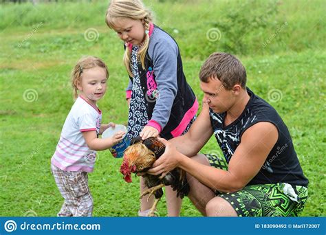 Children Take Care of a Pet Rooster Stock Photo - Image of children, kindness: 183090492
