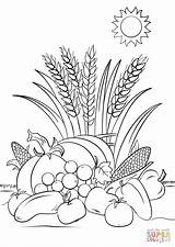 Effortfulg Harvest Coloring Pages Printables sketch template