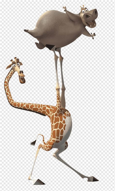 Madagascar giraffe and hippopotamus characters, Melman Gloria Alex ...